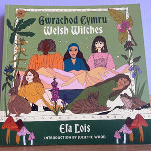 Gwrachod Cymru / Welsh Witches - Efa Lois