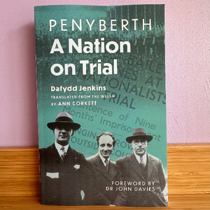 Book cover of 'A Nation on Trial' by Dafydd Jenkins with a green background and black and white photos of three men.