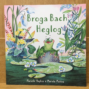 Broga Bach Heglog