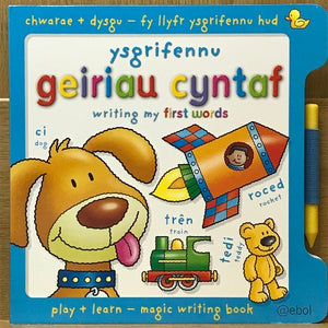 Ysgrifennu Geiriau Cyntaf