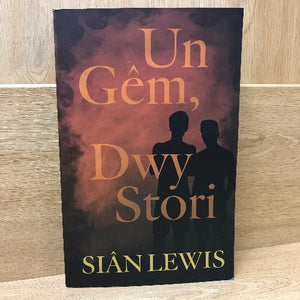 Un Gem, Dwy Stori - Siân Lewis
