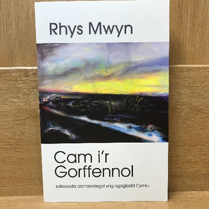 Cam i'r Gorffennol: Safleoedd Archaeolegol yng Ngogledd Cymru - Rhys Mwyn