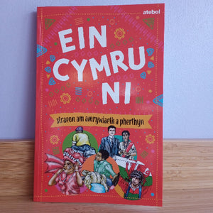 Two books titled 'Ein Cymru Ni' with colorful illustrations and text on a wooden surface.