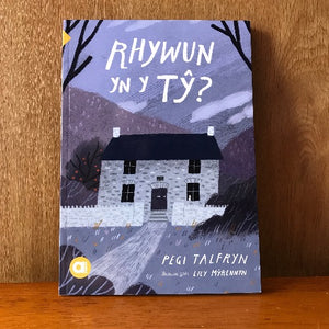 Amdani (Lefel Mynediad) : Rhywun yn y Tŷ?