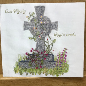 Rwy'n Credu - Cass Meurig