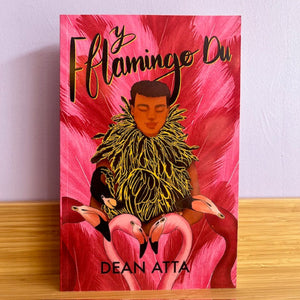 Y Fflamingo Du