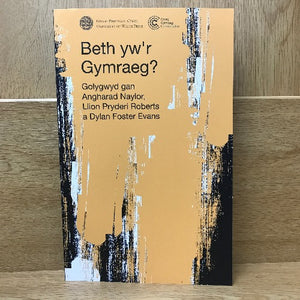 Beth yw'r Gymraeg? - Gol. Angharad Naylor, Llion Pryderi Roberts a Dylan Foster Evans