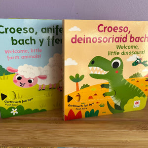 Croeso