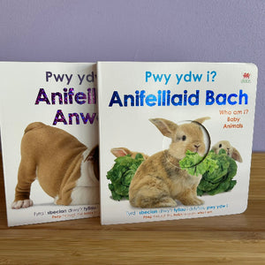 Two children's books in Welsh about animals, one featuring a dog and the other featuring a rabbit, with peepholes in the pages.