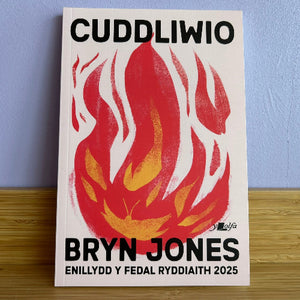 Book cover with red and white flame design and text on a blue wall background