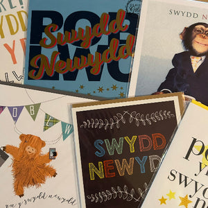 Swydd Newydd - New Job