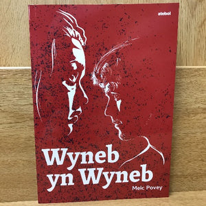 Wyneb yn Wyneb - Meic Povey