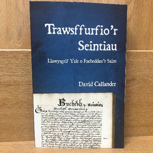 Trawsffurfio'r Seintiau - Llawysgrif Yale o Fucheddau'r Saint