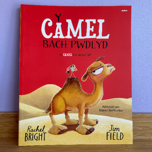 Y Camel Bach Pwdlyd - Rachel Bright
