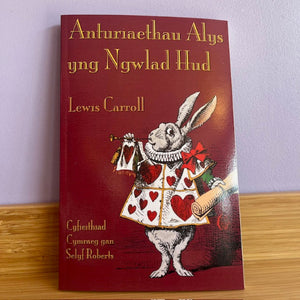 Book cover with rabbit illustration and text on a wooden surface