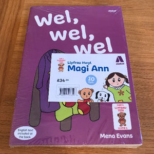 Cyfres Ddarllen Magi Ann: Cam Tedi (Cam 3)