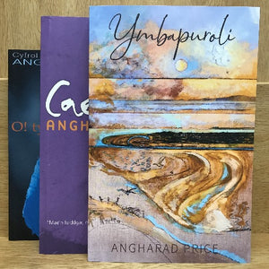 Angharad Price