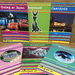 Brechdan Inc (Ffeithiol/Factual)