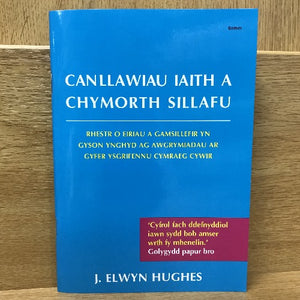 A book titled 'Canllawiau Iaith a Chymorth Sillafu' by J. Elwyn Hughes, published by Y Lolfa, with a blue cover and a spine visible.