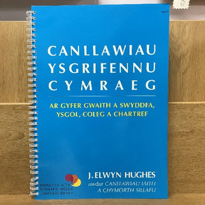 Canllawiau Ysgrifennu Cymraeg