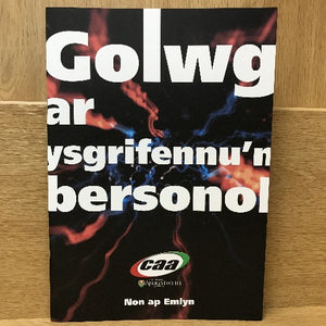 Golwg ar Ysgrifennu'n Bersonol