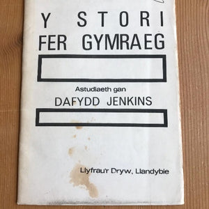 Beirniadaeth Lenyddol / Literary Criticism T-Y