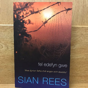 Nofelau Cyfoes: Cyfenwau R-Y