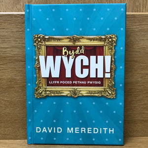 Bydd Wych!