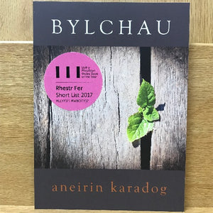 Bylchau - Aneirin Karadog