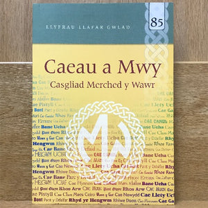 Llyfrau Llafar Gwlad 85: Caeau a Mwy - Casgliad Merched y Wawr