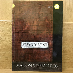 Amdani (Lefel Mynediad) : Stryd y Bont
