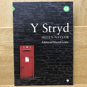 Amdani (Lefel Sylfaen) : Y Stryd