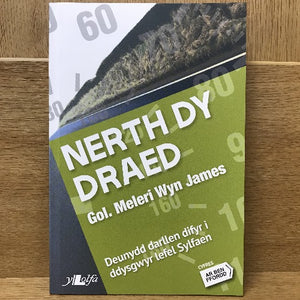 Ar Ben Ffordd (Sylfaen): Nerth Dy Draed
