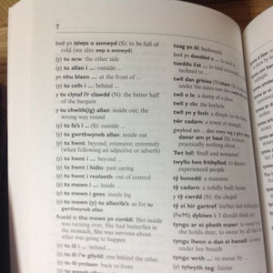 A Dictionary of Welsh and English Idiomatic Phrases - Geiriadur Idiomau - Welsh books - Welsh Bookshop