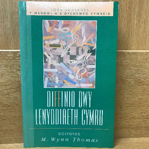 Y Meddwl a'r Dychymyg Cymreig