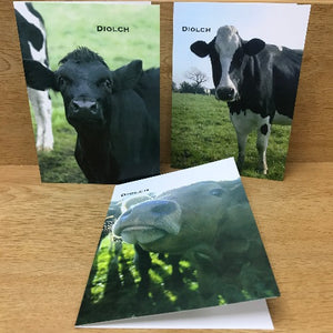 Pecyn o gardiau Diolch (6 charden)