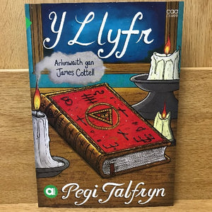 Amdani (Lefel Sylfaen) : Y Llyfr