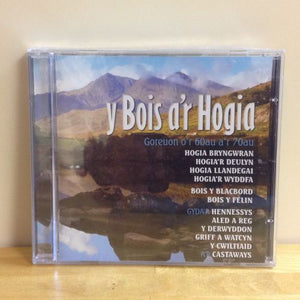 Y Bois a'r Hogia