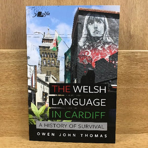 Book cover of 'The Welsh Language in Cardiff' featuring a photograph of a person with a Welsh flag in the background, set against a wooden backdrop.