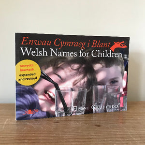 A book cover of 'Enwau Cymraeg i Blant / Welsh Names for Children' featuring two children with glasses and text details.