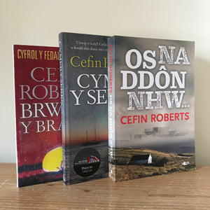 Cefin Roberts