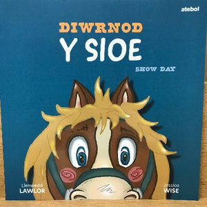 Diwrnod y Sioe