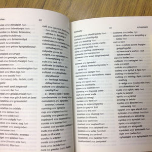 A Shorter Welsh Dictionary - Geiriadur bach gomer - Welsh bookshop - Welsh books
