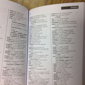 The Welsh Learner's Dictionary