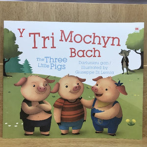 Y Tri Mochyn Bach