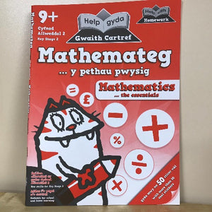 Help gyda Gwaith Cartref: Mathemateg y Pethau Pwysig