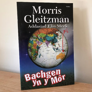 Bachgen yn y Môr