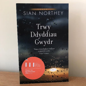 Trwy Ddyddiau Gwydr - Siân Northey