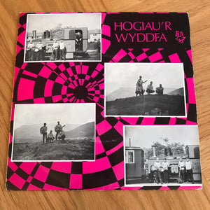 Hogiau'r Wyddfa (Senglau)