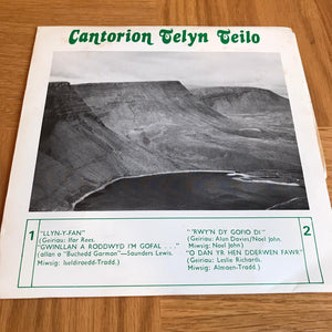 Cantorion Telyn Teilo